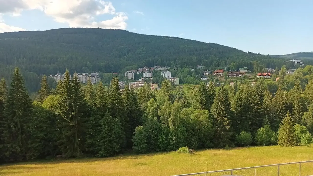 Rezidence Alpina - Apartman 15 Špindlerŭv Mlýn 公寓